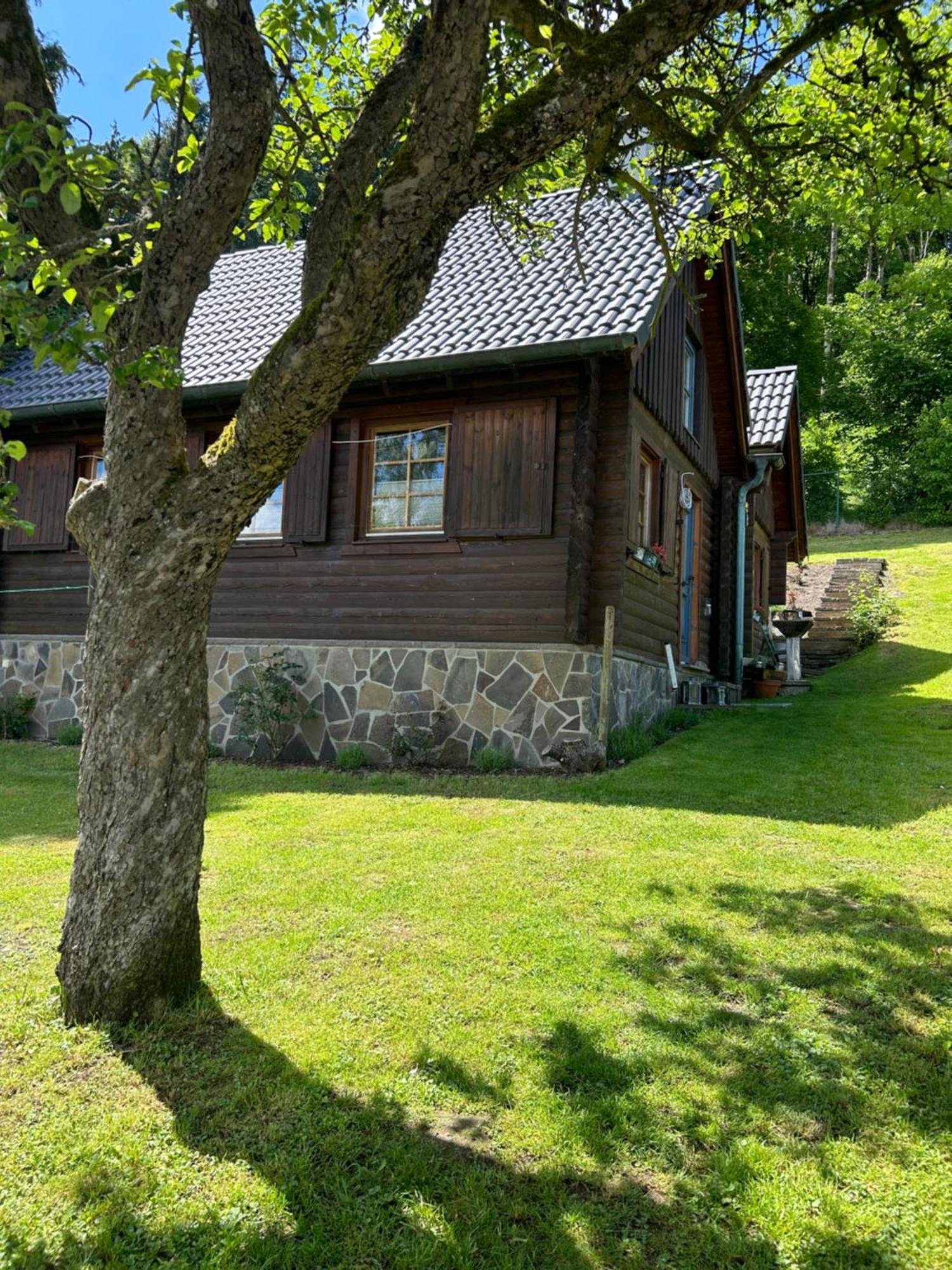 Villa Blockhuette Engeln-Eifel Kempenich Esterno foto