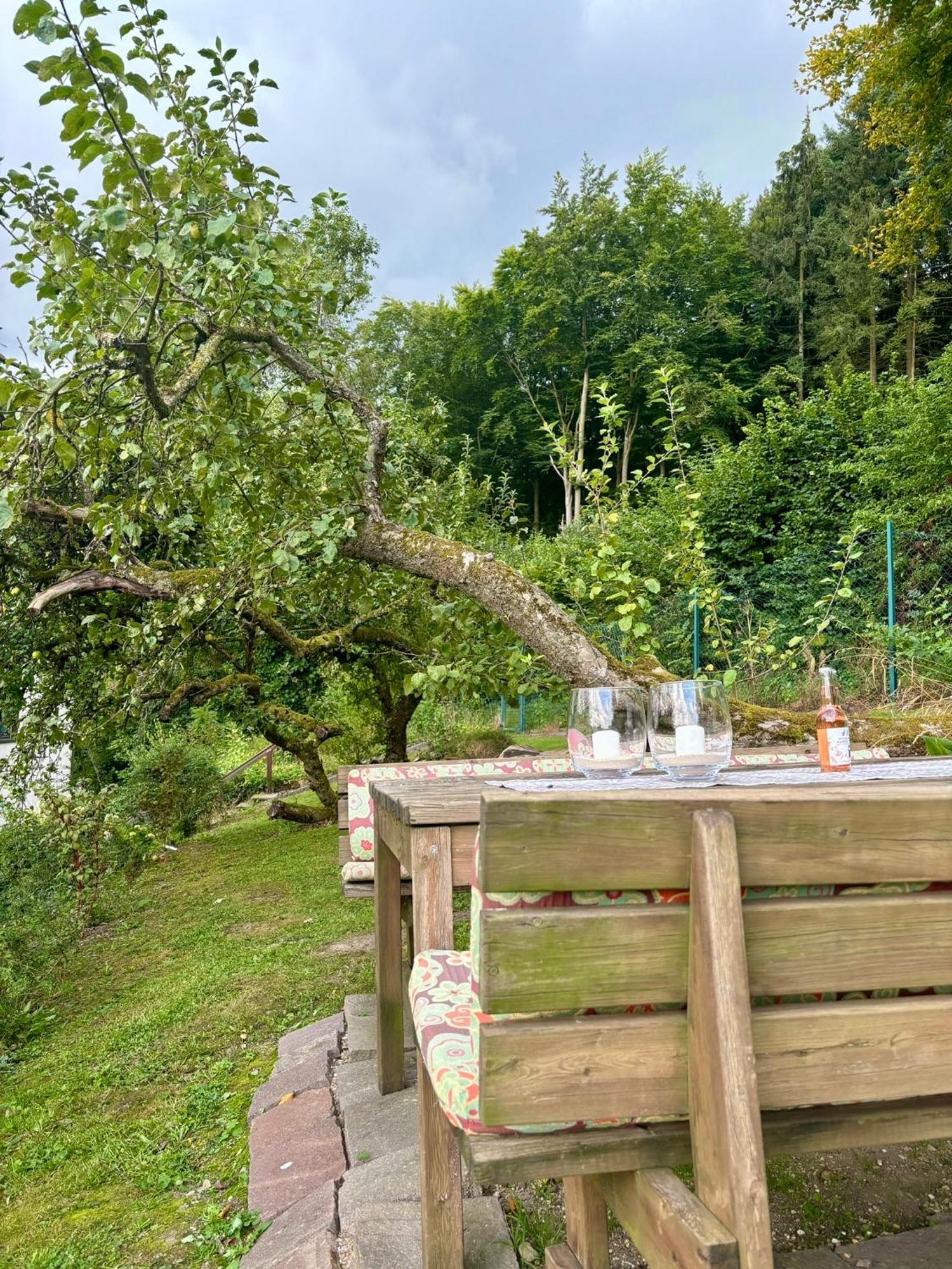 Villa Blockhuette Engeln-Eifel Kempenich Esterno foto